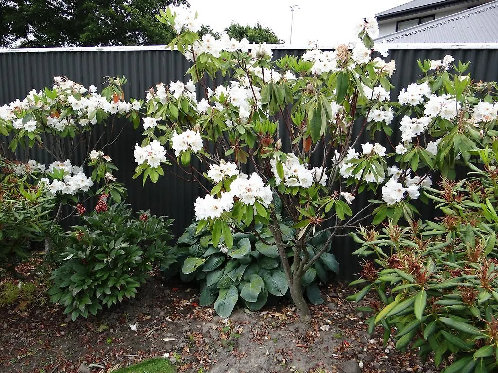 Bed and Breakfast Alumni House - Canterbury Christchurch